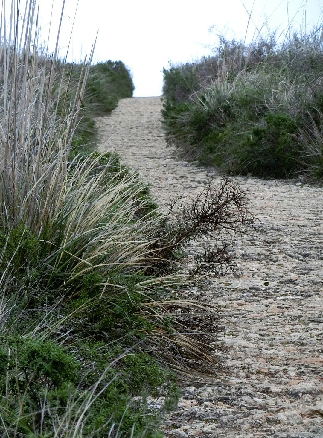 Coastal path and compass on a map